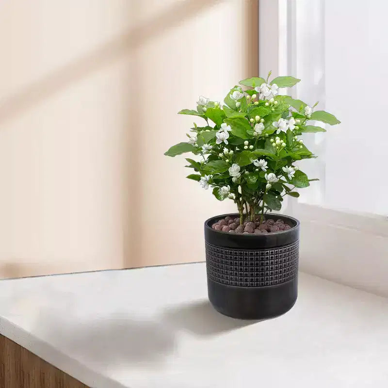 MAYEERTY Pot de Fleurs en Céramique 3 Pièces Jardinière Moderne Noire pour Patio Jardin et Rebords de Fenêtre