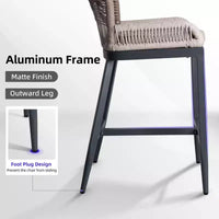 PURPLE LEAF Tabourets de Bar Lot de 2 Chaises Hautes de Bar en Métal avec Dossier Aluminium Moderne Confortables en Rotin Tressé Bohème pour Jardin Piscine Terrasse Extérieur