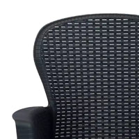 vidaXL Ensemble bistro Lot de 2 Anthracite Plastique aspect rotin Standard