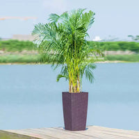 Jardinière à arrosage automatique brune 30 po de haut pour usage extérieur/interieur, grand pot de fleurs en faux rotin avec moniteur d'eau et seau interieur