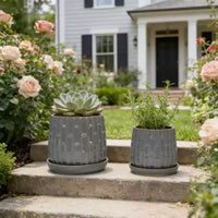 Lot de 2 jardinières en ceramique grises nervurees 5,71 x 5,31, pots de fleurs interieur/extérieur pour herbes, fleurs et plantes grasses