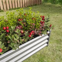 Carré potager surélevé en métal argenté 4 x 2 x 1 pour légumes, herbes et fleurs pour patio, balcon, porche, entrée, étagère de présentation