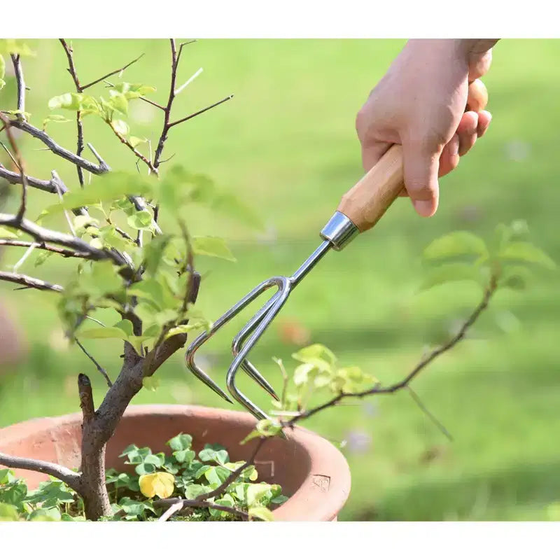 Plateau de jardinage Garden Tidy avec outils à main en acier inoxydable et manches en bambou, plusieurs options d'outils et couleurs