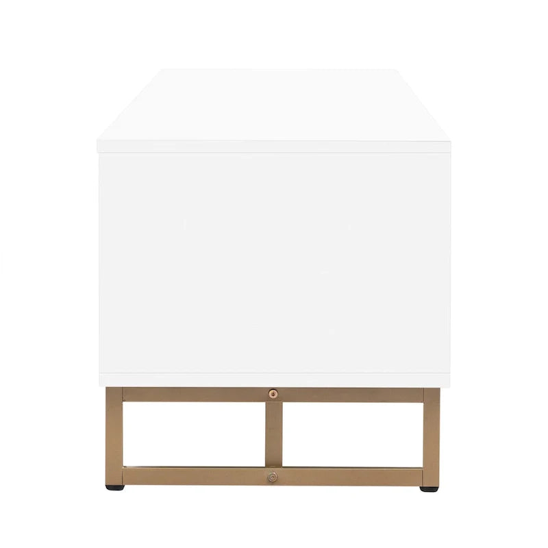 Armoire console TV mobilier pour salon