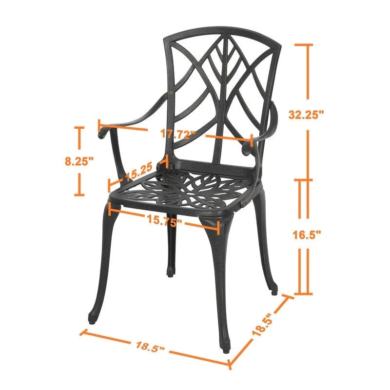 Ensemble de 2 chaises de patio extérieures, en aluminium coulé, noir avec bordure dorée